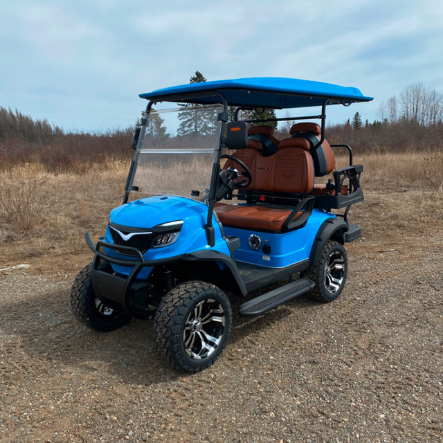 4-seater Golf Cart in Golf in Thunder Bay