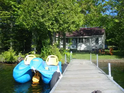 Last minute discounted - Waterfront cottage for rent.