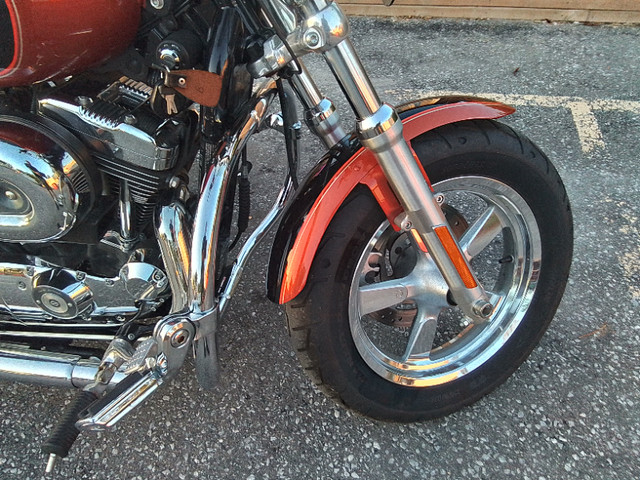 2011 harley davidson sportster custom 1200  1st owner  low km in Street, Cruisers & Choppers in Sarnia - Image 3