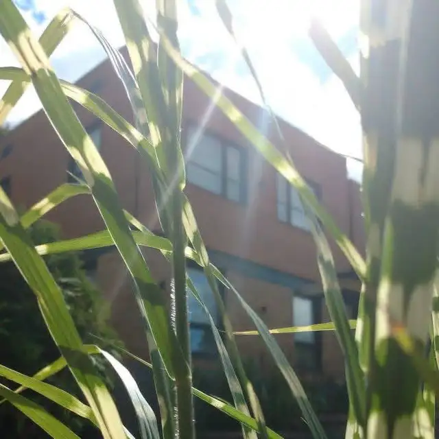 Landscape Architect +25 Years of Experience