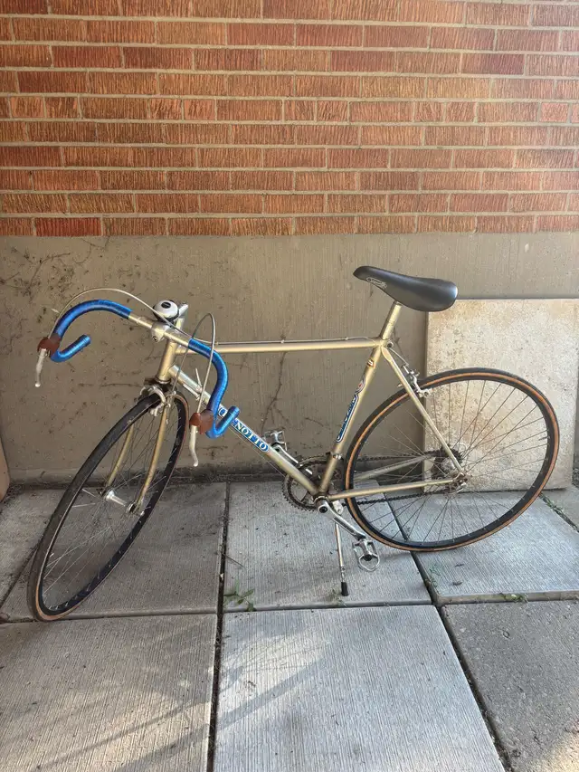 Benotto Modelo 800 Dilettante Vintage Road Bike in Road in City of Toronto - Image 2