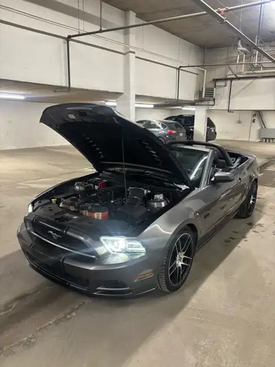 Selling my 2013 Mustang GT convertible, a seriously fun and powerful car that turns heads everywhere...