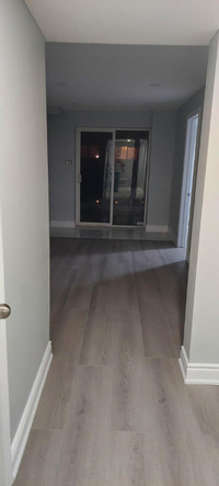 Newly renovated 2-bedroom walkout basement for rent