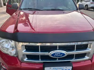 Hardworking ford escape for sale 