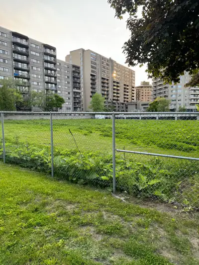 Samuel Holland Apartments - 3 1/2 - 1245 Chemin Ste Foy