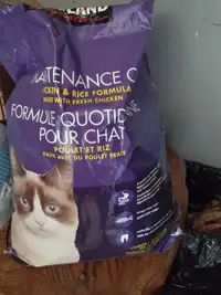 Adult Cat and Wetfood
