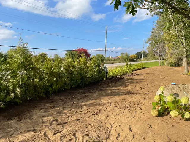 Stump Grinding63284942558337124