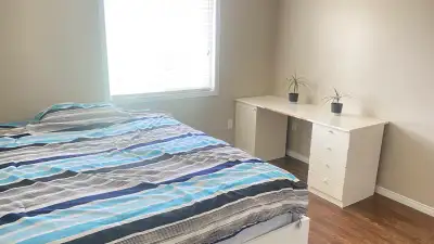 **Room for Rent One Bedroom** Spacious bedroom available for rent. Ideal for young professionals or...