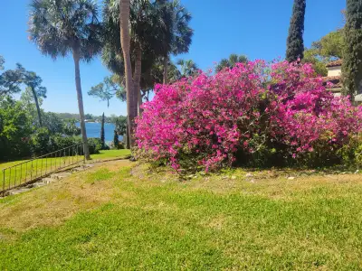 acre / lot/ land/ garage/ space/ lane wanted, View more