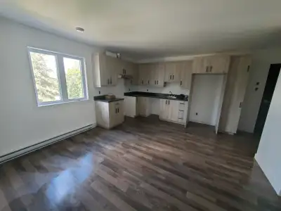 Appartement 3 1/2 à louer