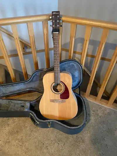 norman acoustic guitar, View more