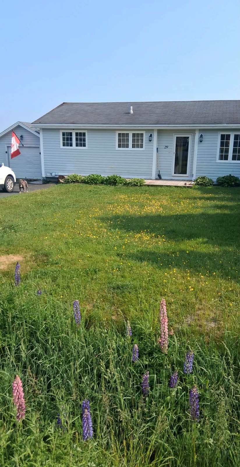 House for Rent 1