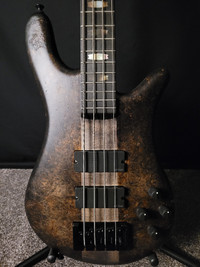 Basses and Bass Gear from BASS NORTH