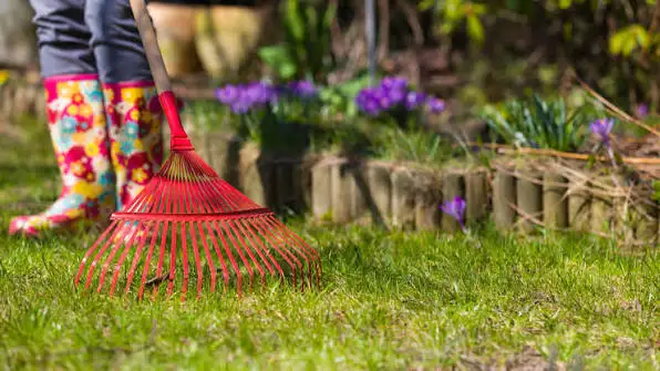 Spring cleaning available414910850427136007