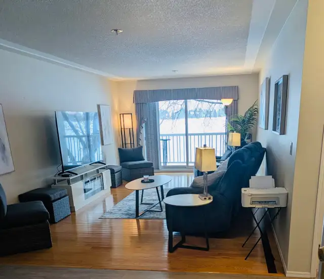 Fully Furnished 1100 sq Ft Condo