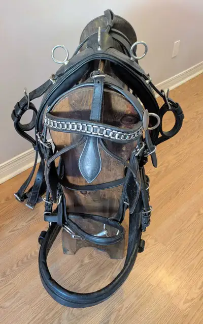 Horse harness, leather, View more