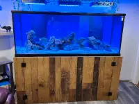 210g saltwater aquarium