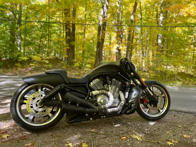 Harley Davidson V-rod Vrod muscle 2015 in Street, Cruisers & Choppers in Cambridge - Image 9