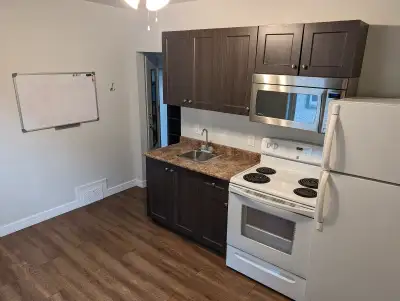 Wolseley apartment, includes wifi/all utils.