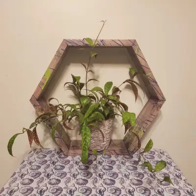 Pine hexagon shelf with homemade purple stain and patriot blue/lime green splatter. H: 14.5" x W: 17...