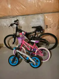 Bikes for kids and adults 