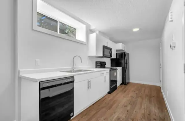 Mayfield - 1 bedroom basement apartment for rent!