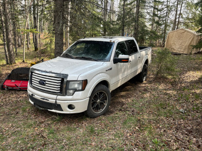 2011 f150 limited 