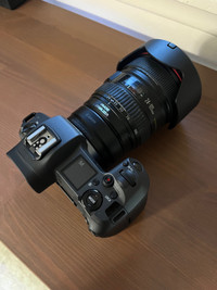 Canon EOS R with Canon EF-RF Adapter & Canon 