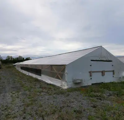 As you can see in pictures. The plastic film can cover the size of the green houses showing in pictu...