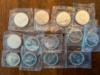 Silver Coin Collection (16.6 oz Silver)