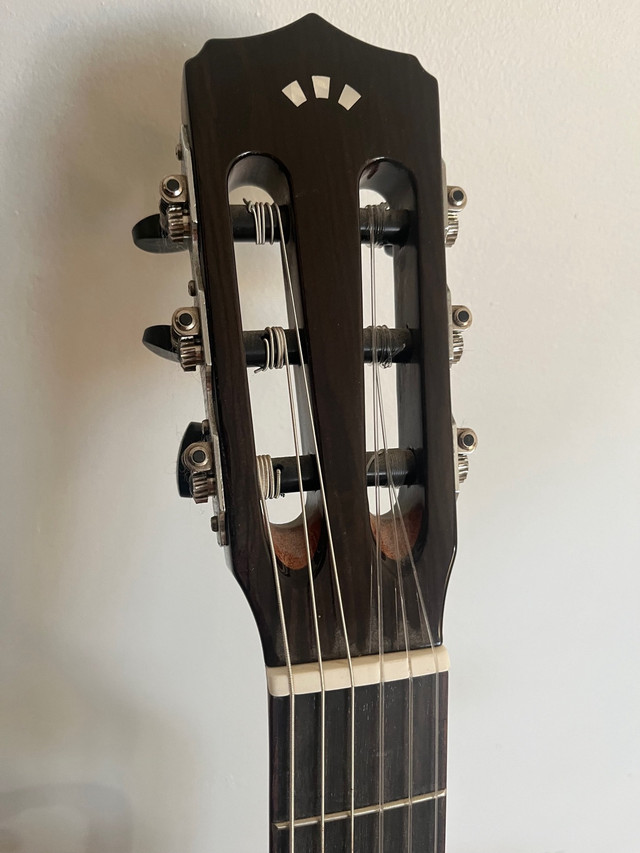 Cordoba Guitar  in Guitars in Banff / Canmore - Image 3