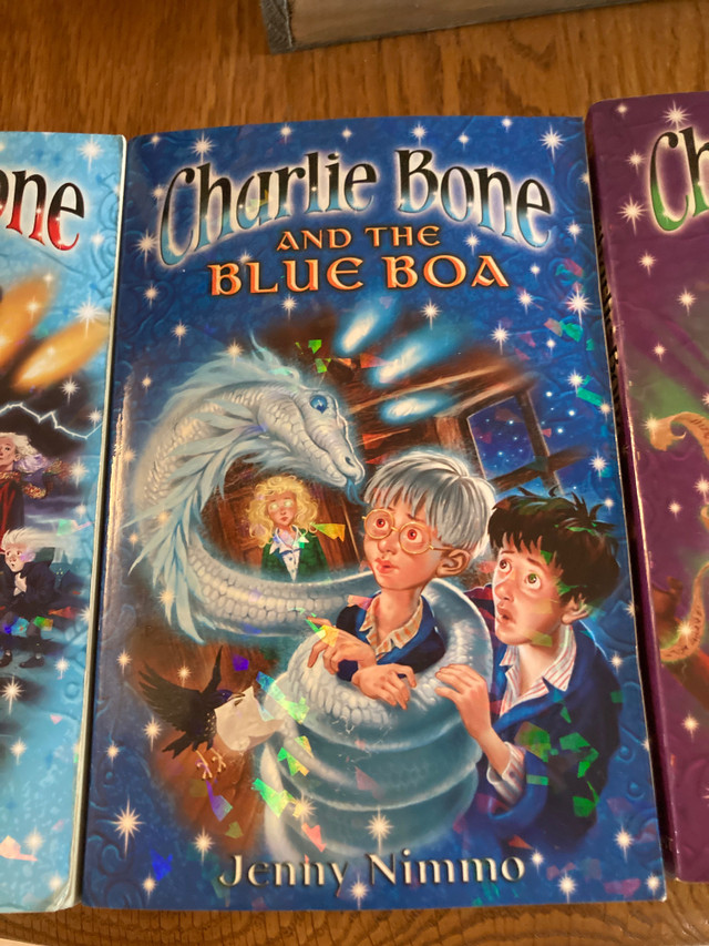 Charlie Bone Softcover Books 1 to 5 in Children & Young Adult in St. Catharines - Image 3