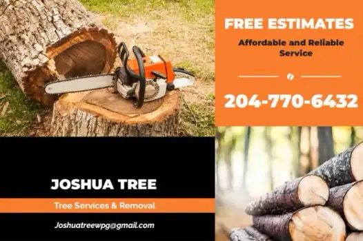 Joshua Tree. amazing pricing fully insured 62863720113154123