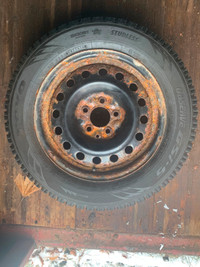 4 Toyo 215/60R16 95T winter tires on rims