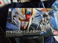 RG ZGMF-X10A Freedom Gundam (05)