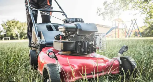 Professional Landscaping & Lawn Care Serving your property with precision and pride. ✅ Expert mowing...