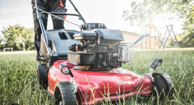 Grass cutting & Lawn Care  – Reliable, Affordable, Local!62864357994242120