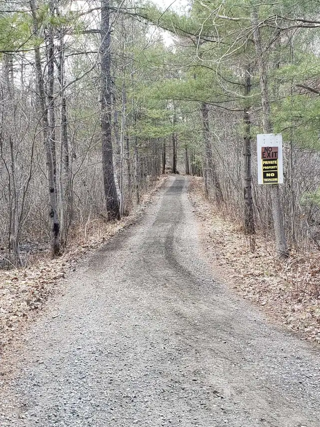 wood chips in Free Stuff in Muskoka - Image 2