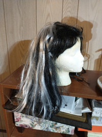 Halloween wigs , clothes and assessories for sale