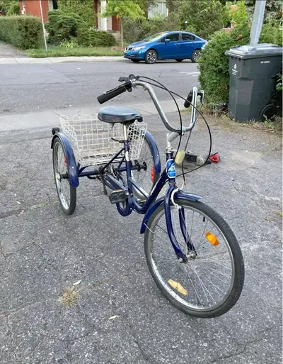 Tricycle ADT, View more