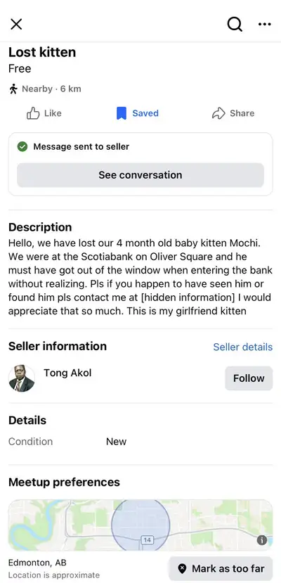 Lost Kitty Cat, View more