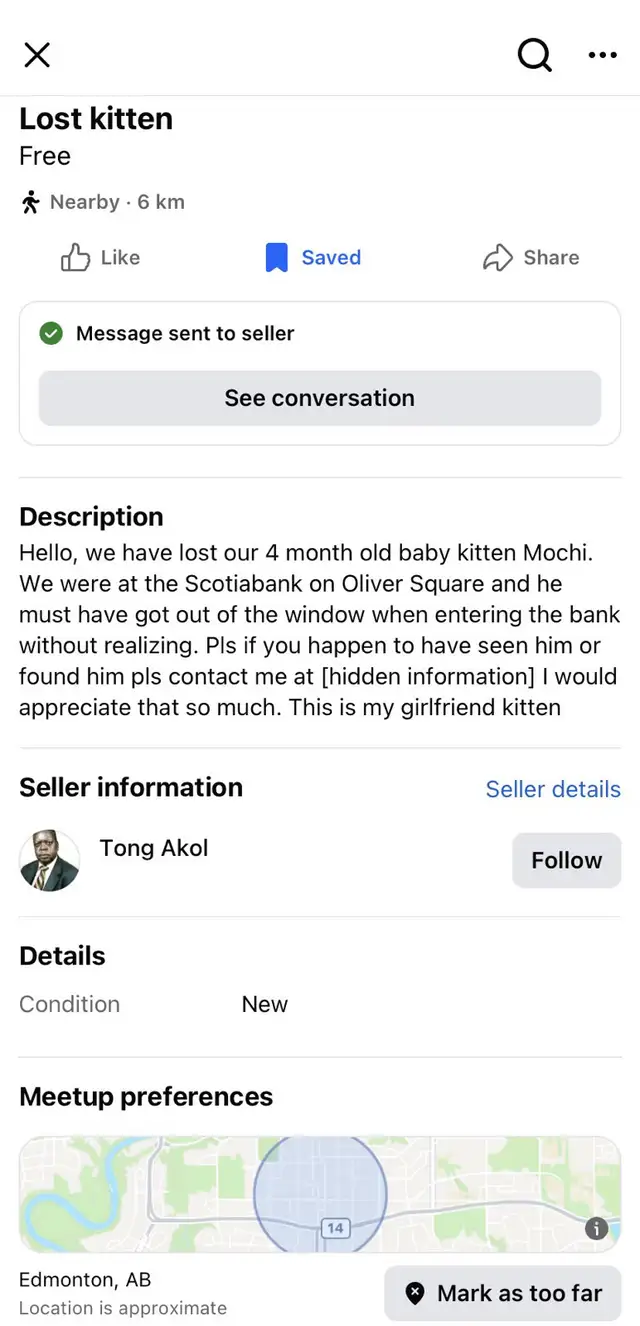 Beautiful Lost Kitty Cat—-Needs to Het Home in Lost & Found in Edmonton - Image 2