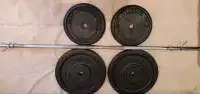 Olympic Barbell and plates. 