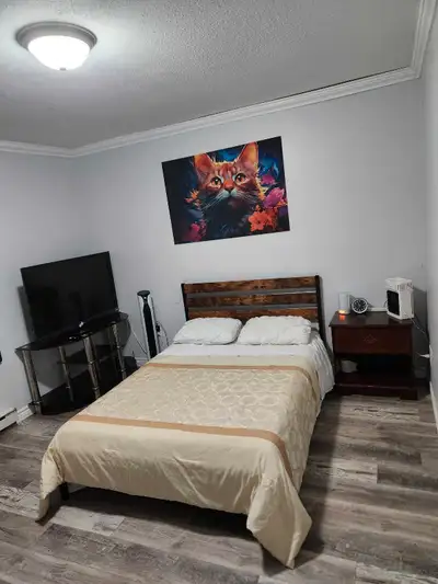 rent room ingersoll downtown
