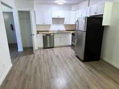 One bedroom Apartment available. The apartment is modern and quiet with plank flooring, updated cabi...