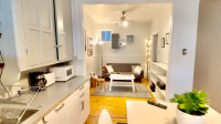 Superbe appartement meublé - Parc Lafontaine/Plateau Mont Royal