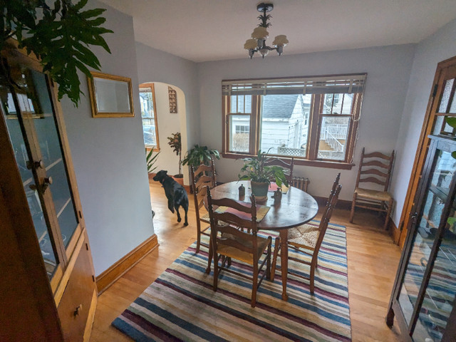 Short-term room (750$ / month - May 1 - Aug 31) Dtown Dartmouth in Room Rentals & Roommates in Dartmouth - Image 3