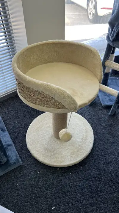  Cat Tree with Scratching Post, Toy Ball, Perch, Small Cat Tower, View more