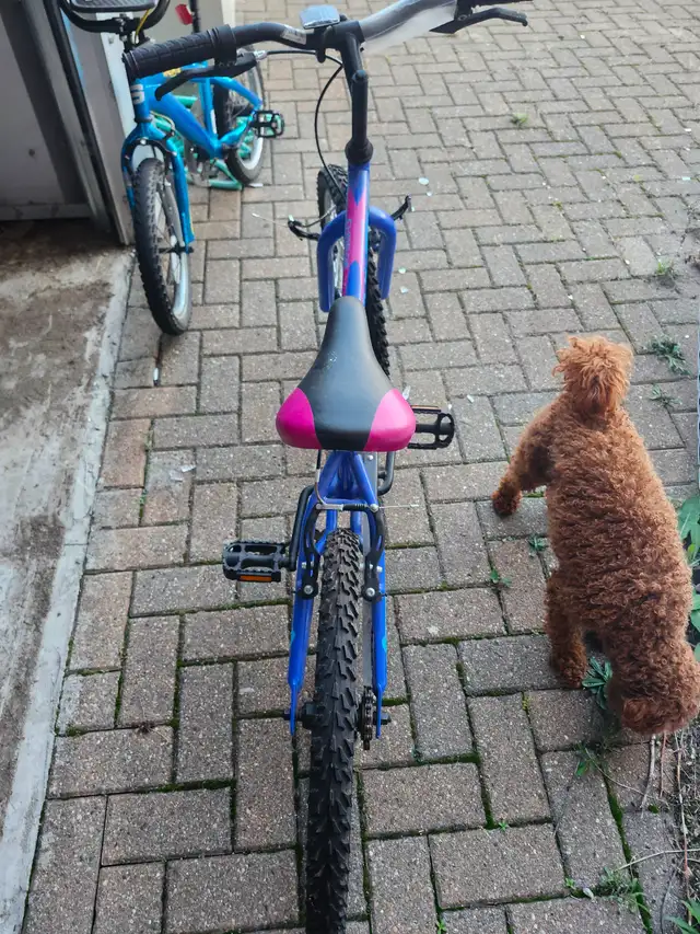 2 Bikes for sale ,Supercycle 20 inch,blue,and Radiate16 inch,bot in Kids in Windsor Region - Image 3