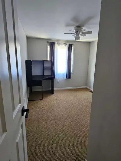 Looking for a place to live this year that is luxurious, affordable, AND close to the university? I'...